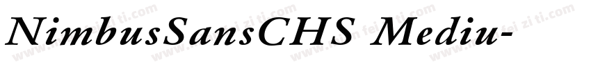 NimbusSansCHS Mediu字体转换
